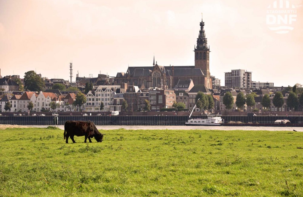 Albaer Hillen – Vergroeid geraakt met dit prachtige Nijmegen